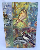 Birds loose cover journal